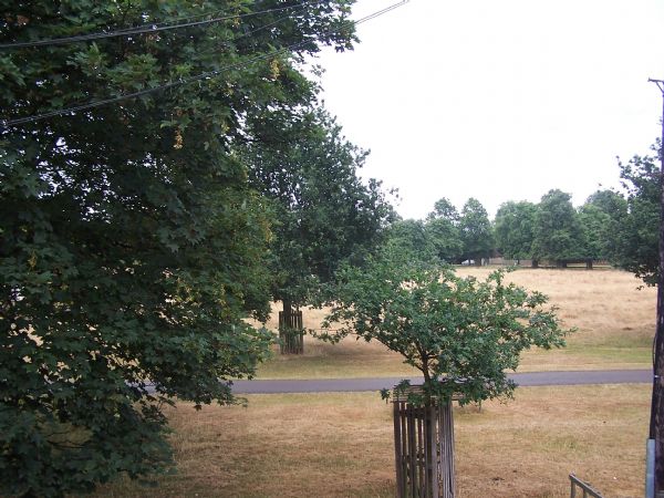 Photo 3- click for photo gallery